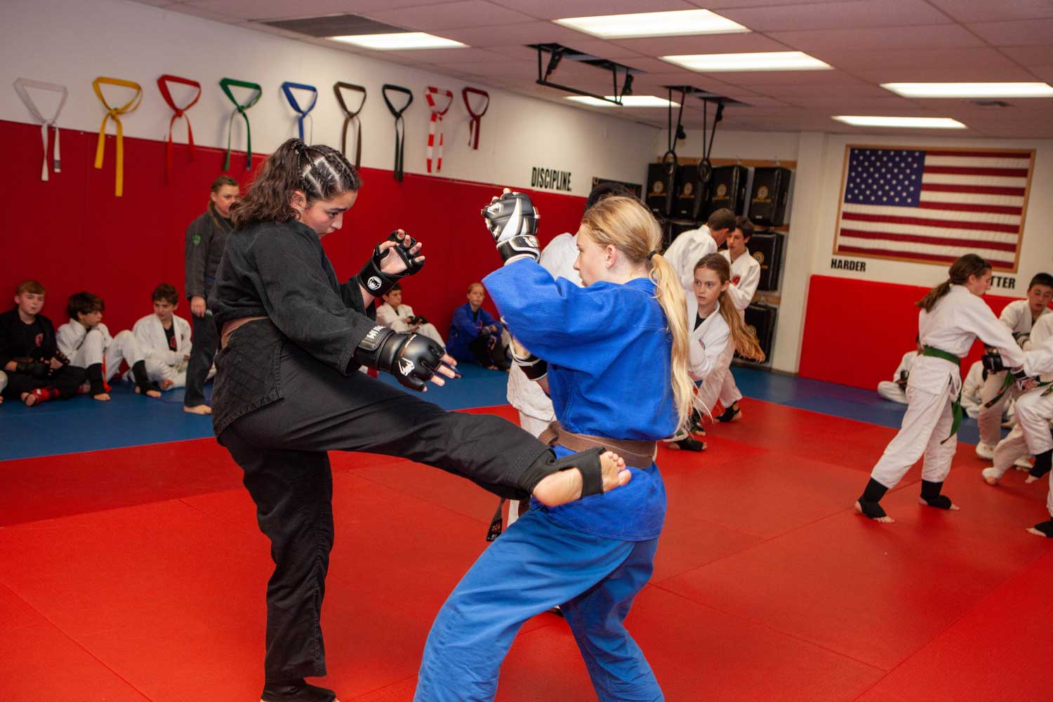 The Israeli martial arts and self defense academy